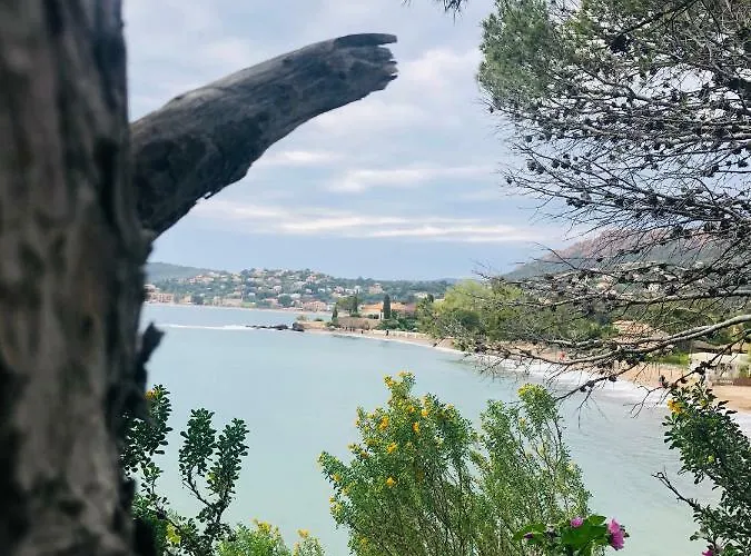 „la Cigalerie“ * Сен-Рафаель